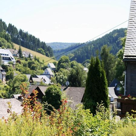 Large Holiday Home In Willingen With Private Garden And Several Terraces Eksteriør bilde