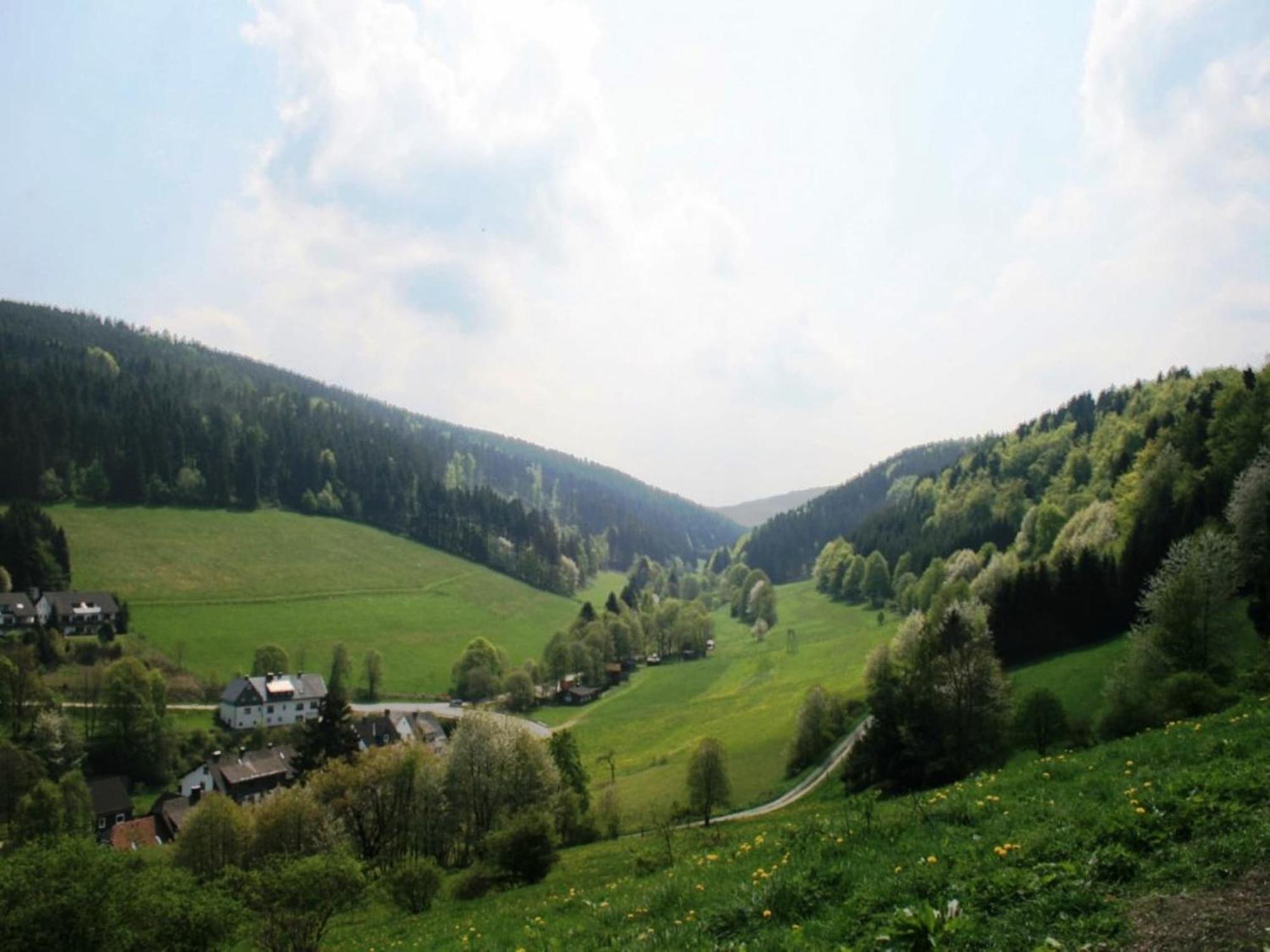 Large Holiday Home In Willingen With Private Garden And Several Terraces Eksteriør bilde