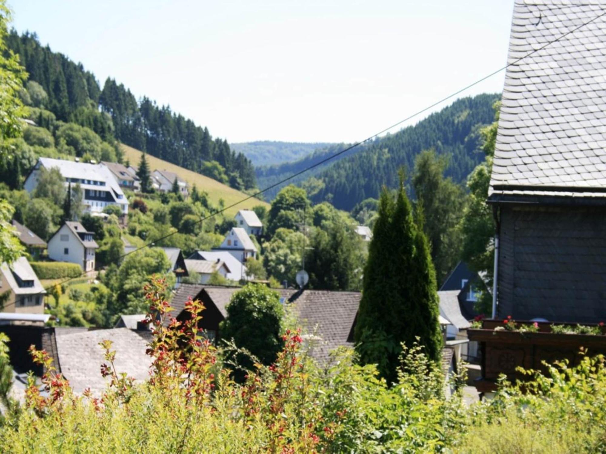 Large Holiday Home In Willingen With Private Garden And Several Terraces Eksteriør bilde