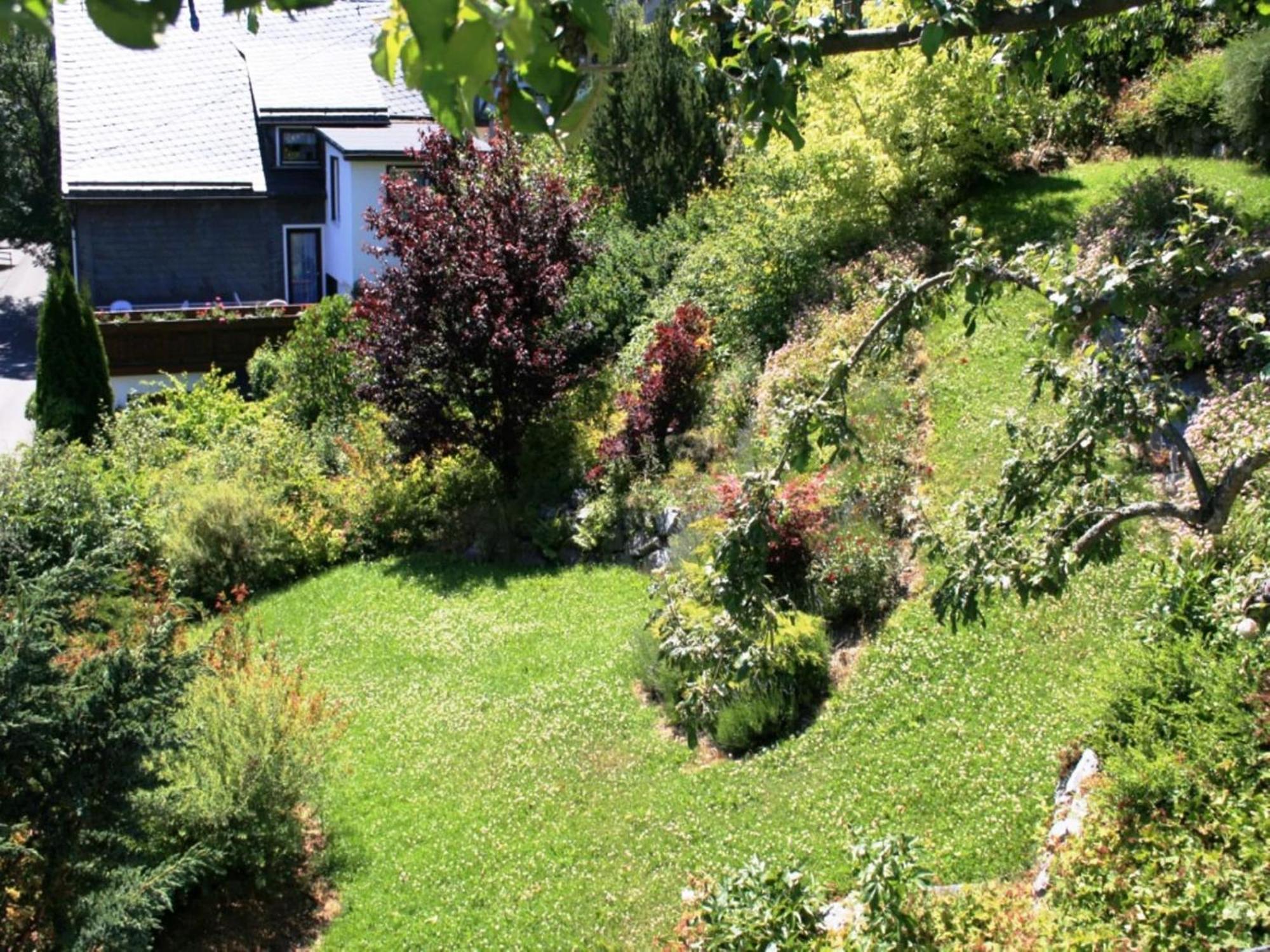 Large Holiday Home In Willingen With Private Garden And Several Terraces Eksteriør bilde