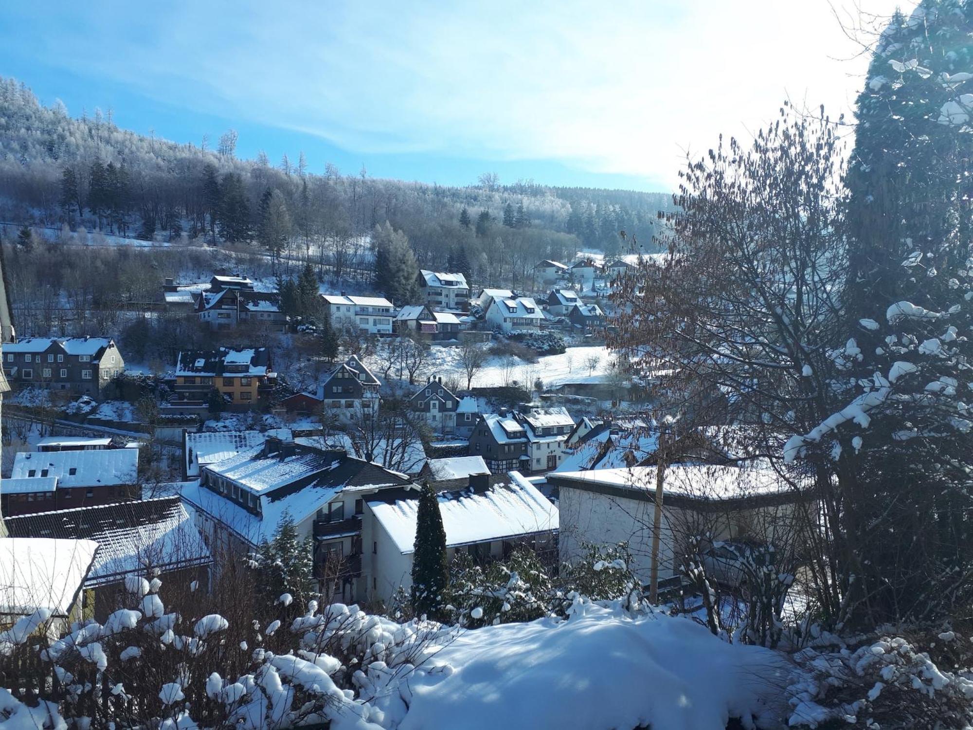 Large Holiday Home In Willingen With Private Garden And Several Terraces Eksteriør bilde