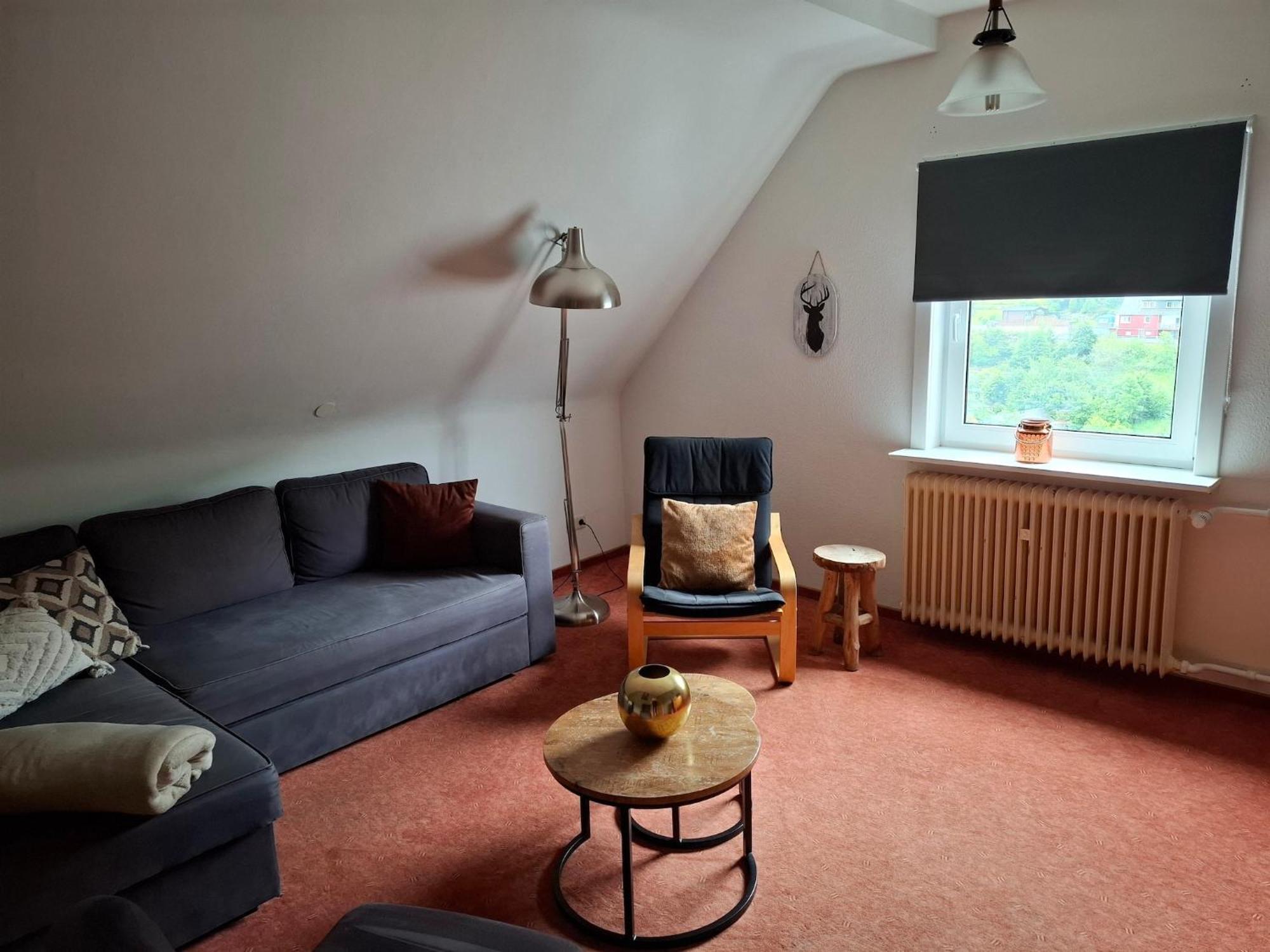 Large Holiday Home In Willingen With Private Garden And Several Terraces Eksteriør bilde